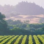 Fairmont_Sonoma_1