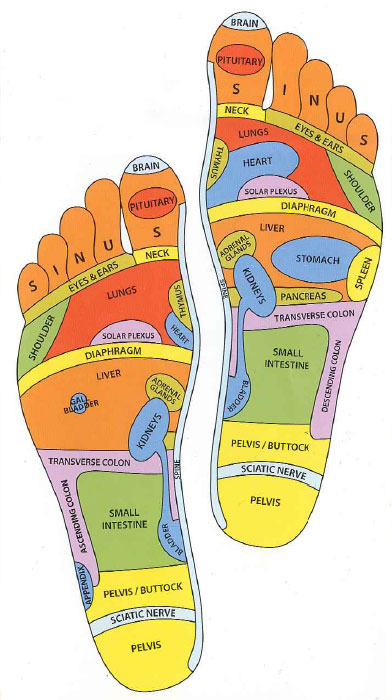 Reflexology Foot Map