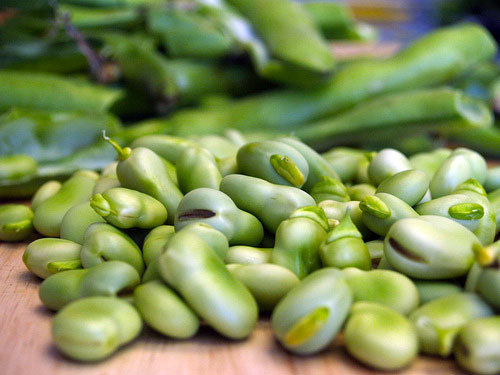 Fava-beans-photo-via-Flickr-user-luvjnx