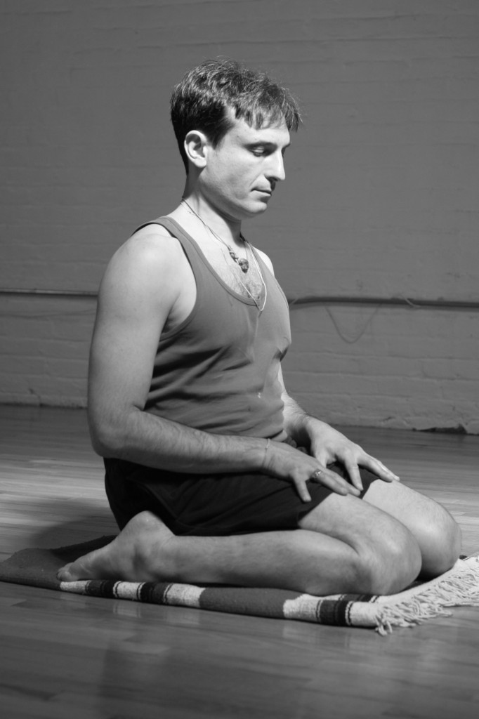 David Hollander Yoga Meditation