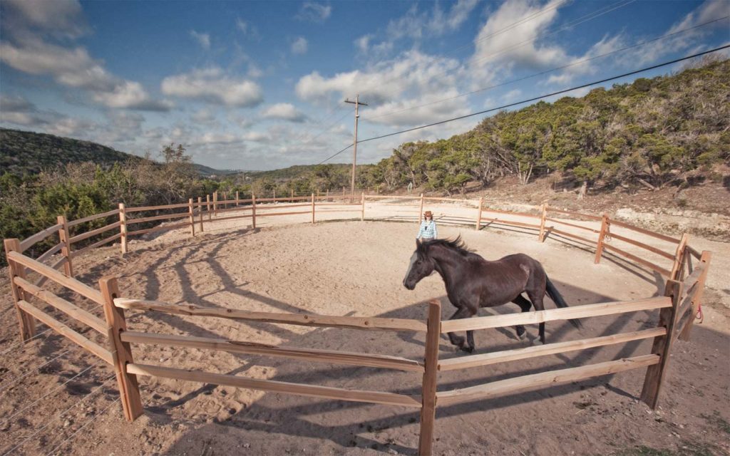 Equine Travaasa