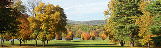 Shane Diet, Weight-Loss & Fitness Resorts