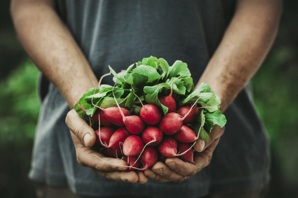 farmer with vegetables