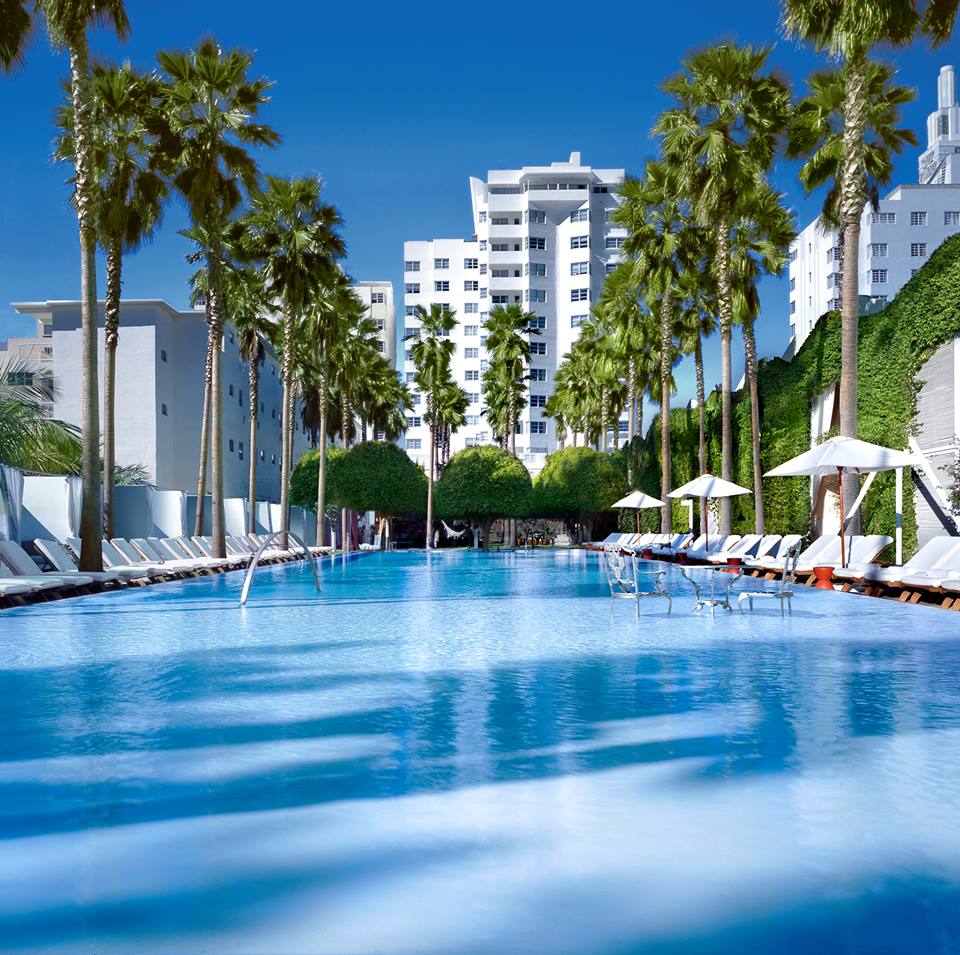 delano south beach pool 