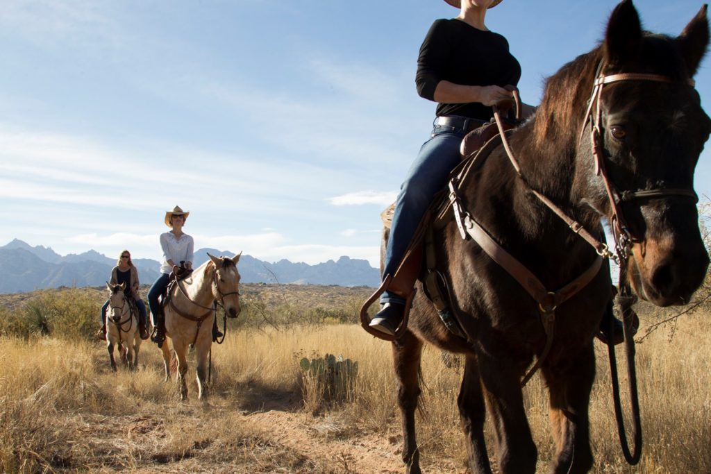 horse-back-riding