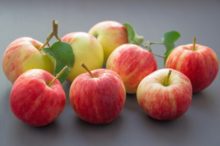 apples and recipes