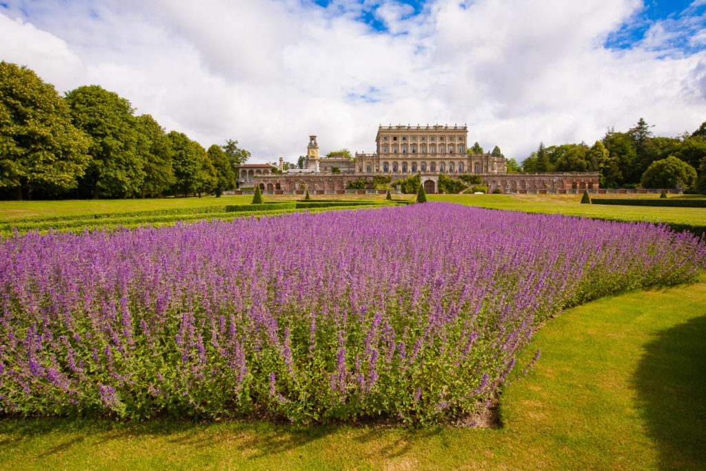 Cliveden-with-Lavender