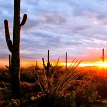 Greater-Palm-Springs-Spa-Month-desert