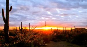 Greater-Palm-Springs-Spa-Month-desert