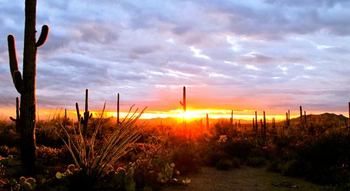 Greater-Palm-Springs-Spa-Month-desert