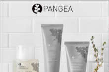 pangea-products