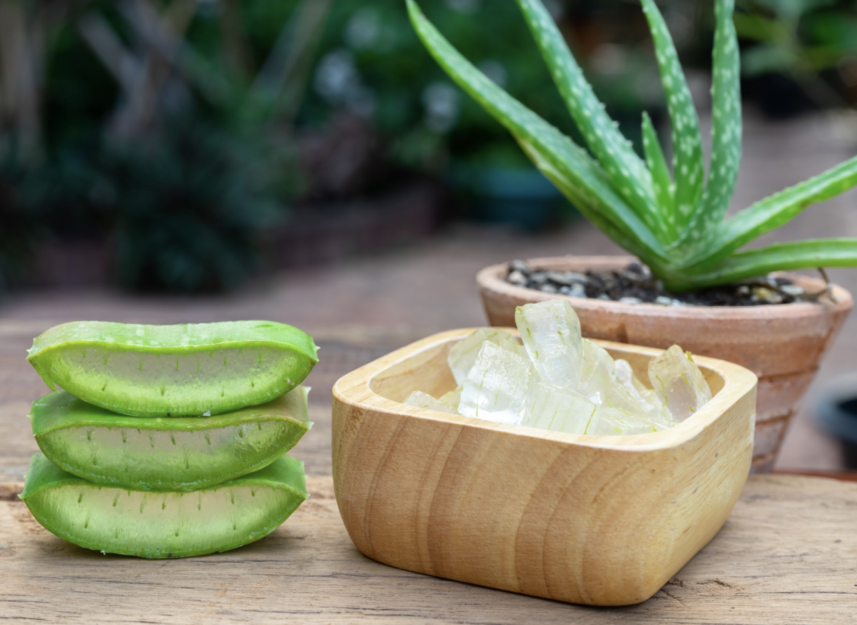 DIY Aloe Vera Leave In Conditioner Spafinder