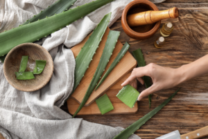 aloe-vera