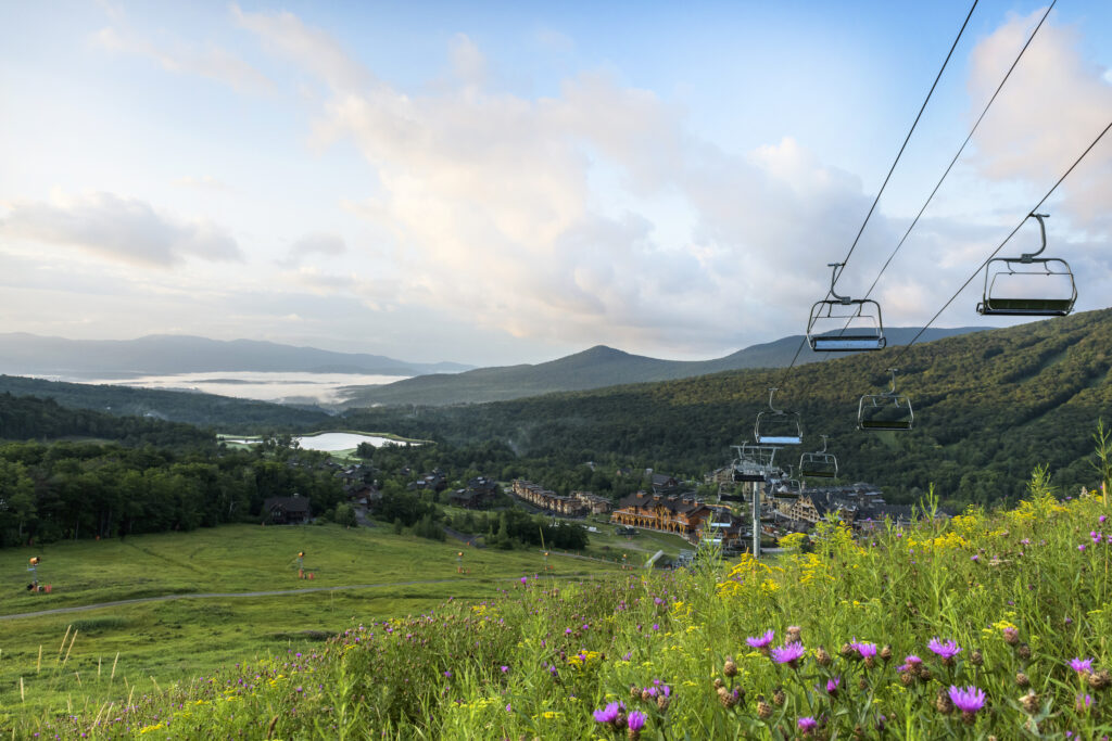 Stowe-Vermont