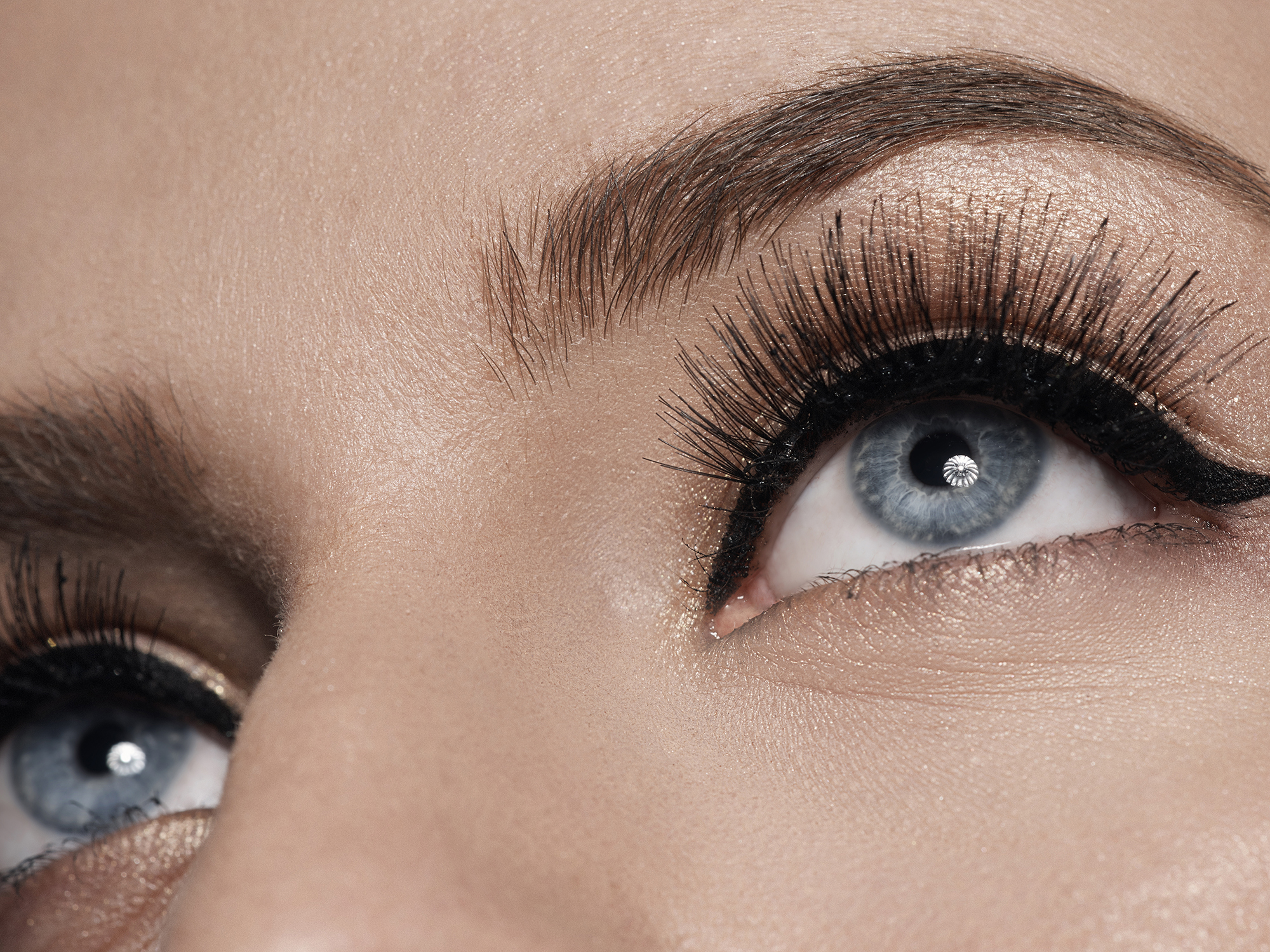 The Lash Lounge | Spafinder Signup