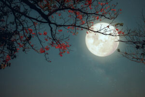 "Pink-Moon"