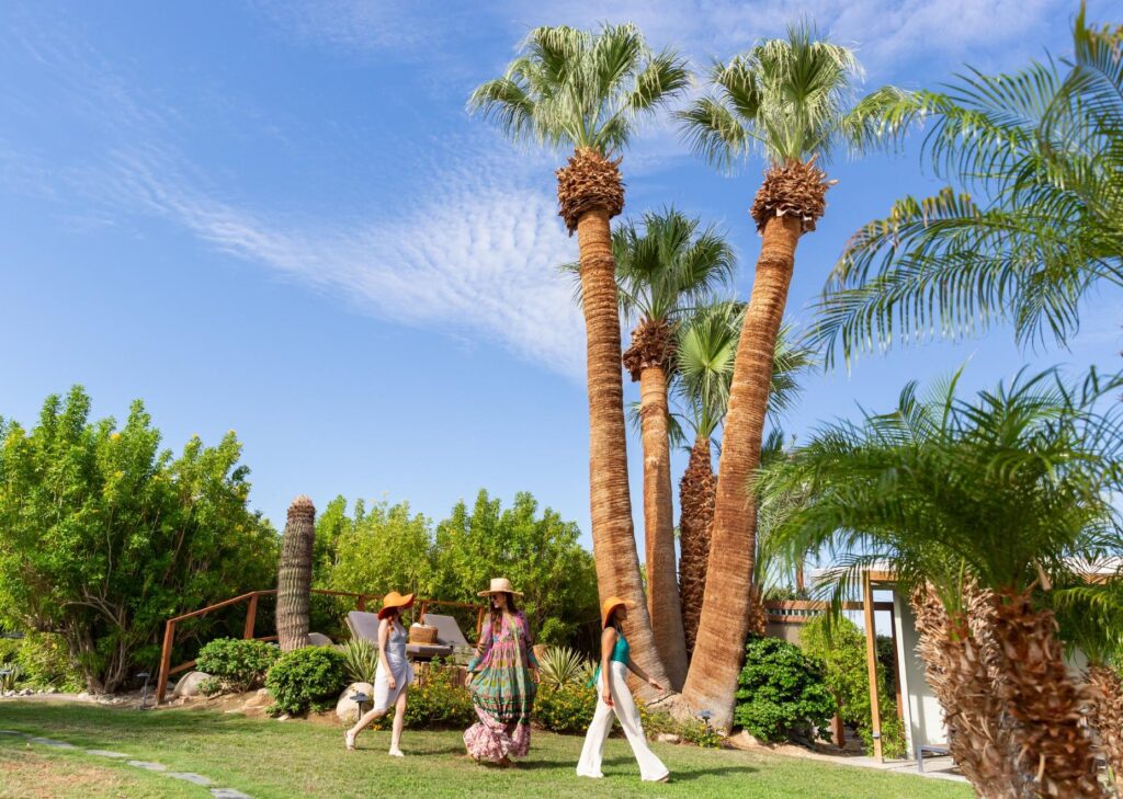 THE-SPRING-DESERT-RESORT