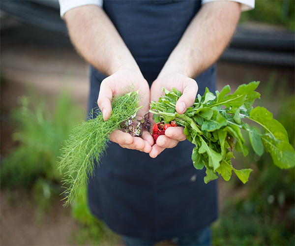 Miraval-Arizon-Garden