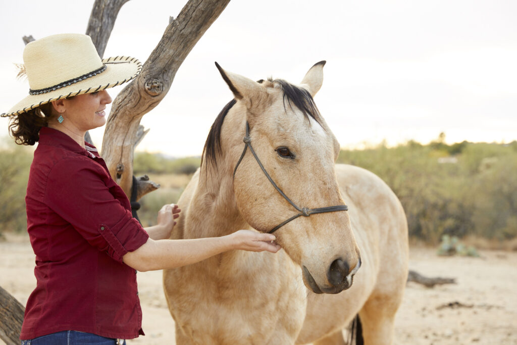 Miraval-Arizona-Equine-Therapy