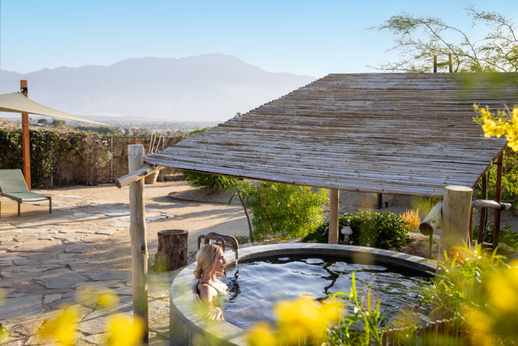 Greater-Palm-Springs-Azura-Palms